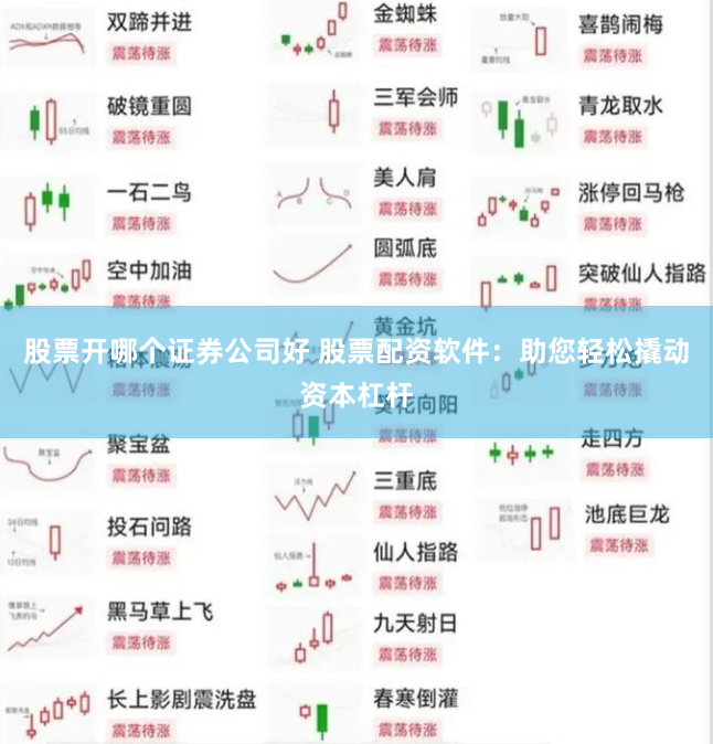 股票开哪个证券公司好 股票配资软件：助您轻松撬动资本杠杆